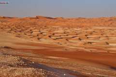 bei Tel Mirab - Rub al Khali Wüste