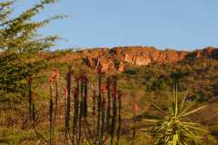 Waterberg Guest Farm