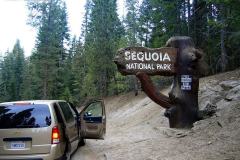 Sequoia NP