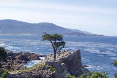 Lone Cypress auf einer  Granitlandzunge mit Blick auf die Carmel Bay