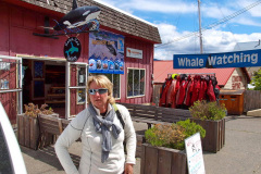 Whale Watching Vancouver Island
