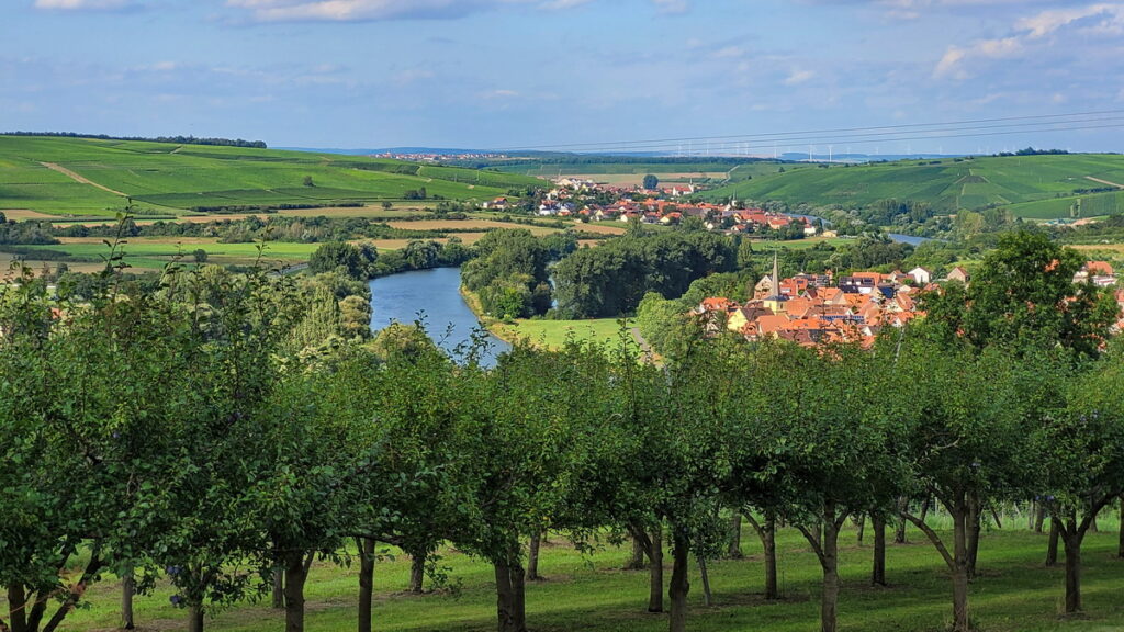 Mainschleife vom Radweg 